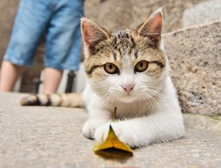 DSC_2421.jpg