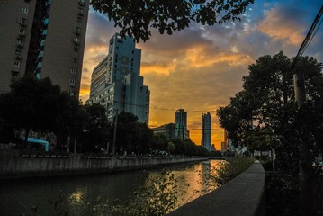 DSC_1395.jpg