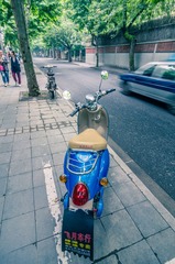 DSC_2450.jpg