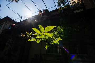 DSC_0171.jpg