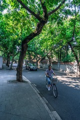 DSC_0150.jpg