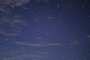 DSC_8687.jpg