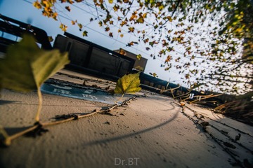 DSC_8192-2