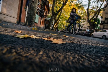 DSC_8246-2