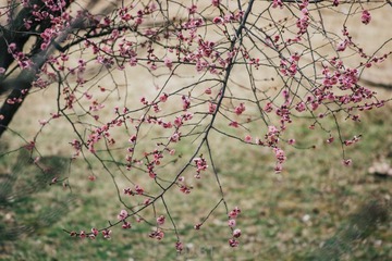 DSC_1765-2