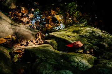 _DSC4619