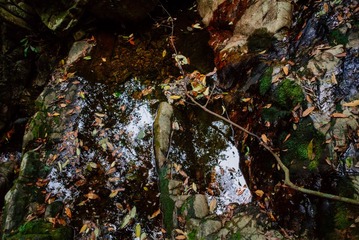 _DSC4693