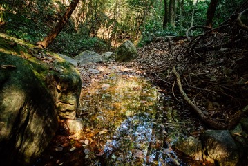 _DSC4657