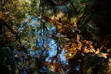 _DSC4656