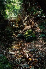 _DSC4651