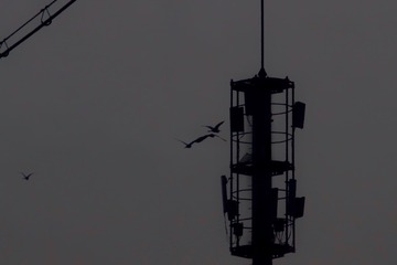 12246D16-12AB-48CF-9169-5216FAA238B1/L0/001