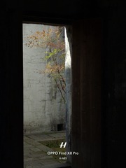 1000027801