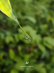 1000029246