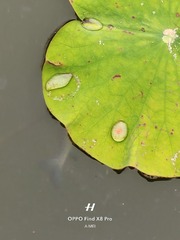 1000028633