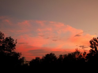 1266031