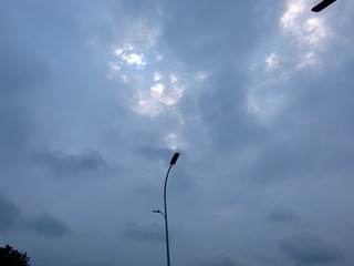 1233118