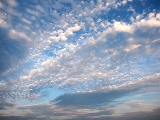 1200323