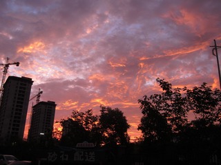 1200328