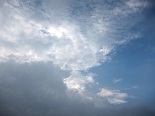 1233125