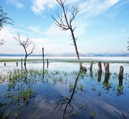 _MG_6868s.jpg