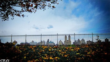 IMG_0216 copy.jpg