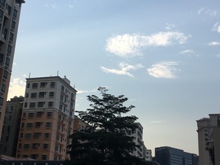 1639232