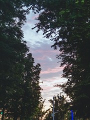 2DC2C4D9-C73F-4227-AB8D-9F07B0CEF7AC/L0/001
