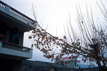 RDP3-21.jpg