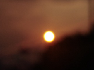 1646091