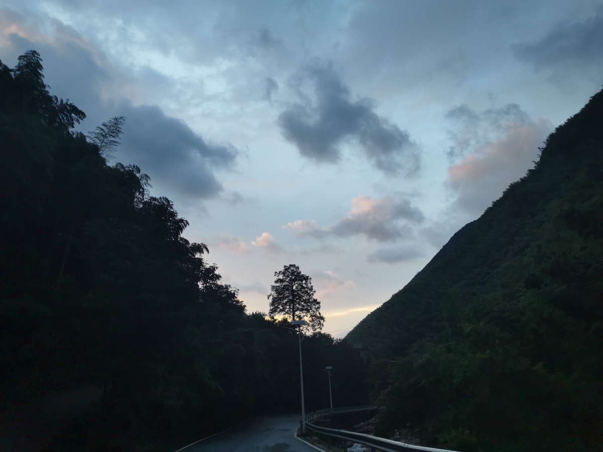 普普通通的天空泛着粉红这是独属于晚霞的温柔