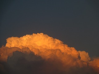 1446329