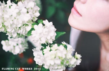 簇