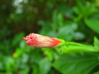 R0010040