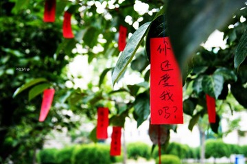 2012.3.7(2).jpg