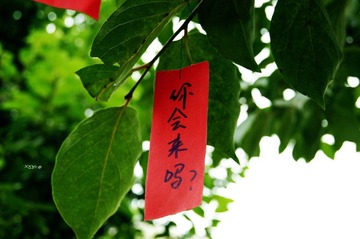 2012.3.7(3).jpg
