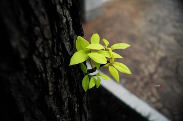 2012.7.19.jpg