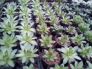 C360_2012-03-24 17-07-32_org.jpg