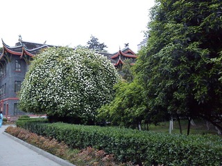 C360_2012-04-06 19-01-09_org.jpg