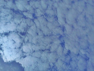 C360_2012-04-13 12-56-21.jpg