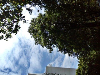 C360_2012-04-13 13-04-06.jpg