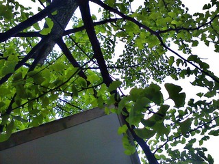 C360_2012-04-19 17-55-43.jpg