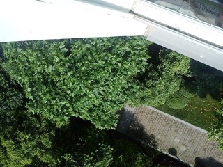 C360_2012-05-12 15-25-20_org.jpg