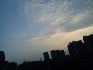 DSC00036.jpg