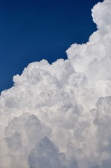 30396401-41D5-42B2-BA0D-AA751E55C3C6/L0/001