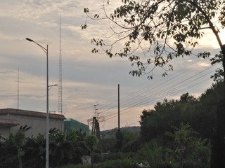 163816