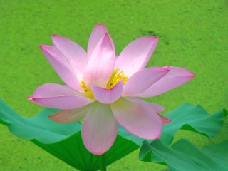 4014D9BB-1198-4065-9AF3-9599C5001B90/L0/001