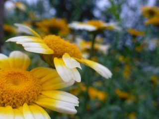 1AB3A102-C00E-4C89-9632-DD48E46D8FBF/L0/001