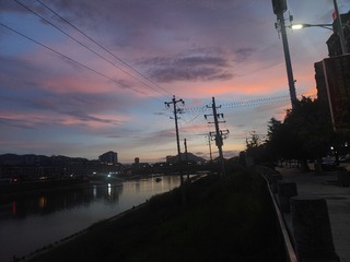 1000010354