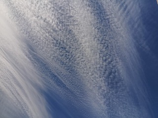 3363