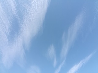 3338